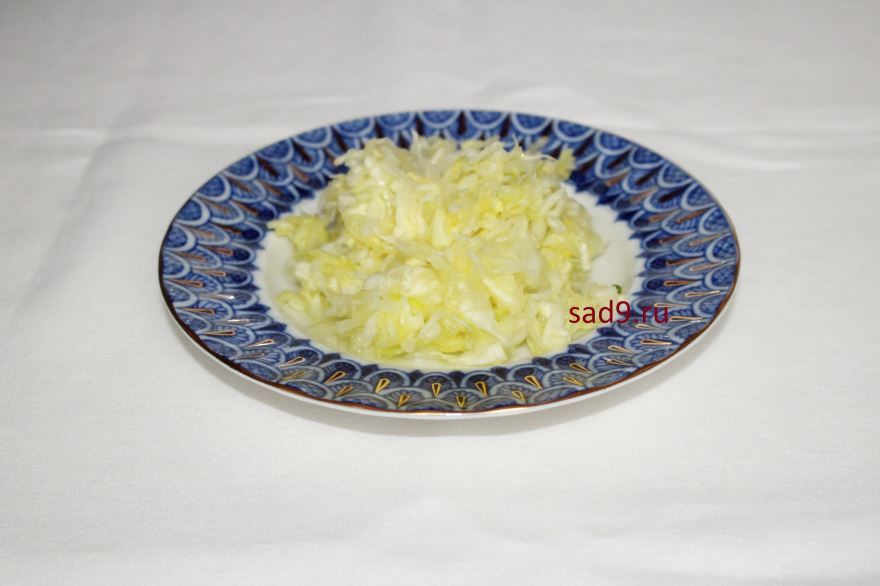 Салат с капусты свежей и огурцом