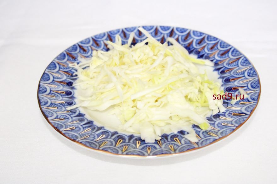 Салат с капустой и огурцом, пошаговый рецепт салата с фото