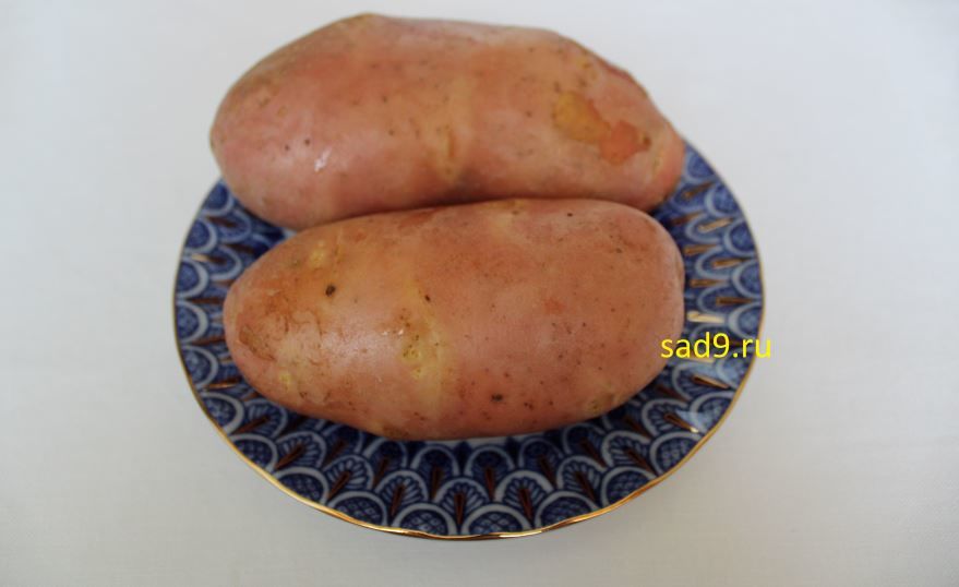 Рецепт салата из капусты с картофелем