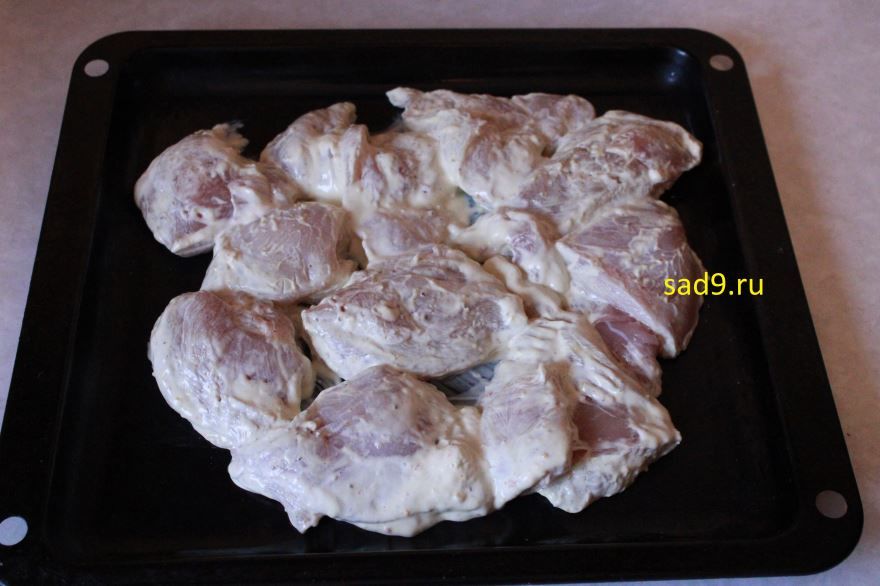 Рецепт курицы с сыром, в домашних условиях с фото