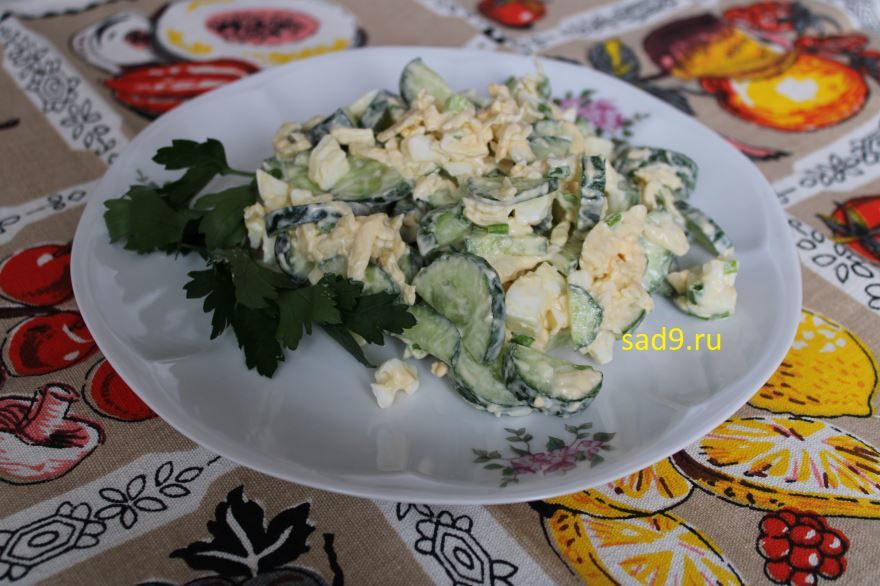 Салат с огурцом и яйцом, рецепт приготовления салата в домашних условиях