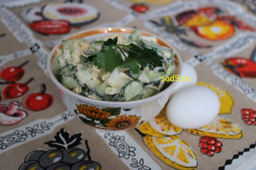 Салат с огурцом и яйцом, рецепт и способ приготовления с фото
