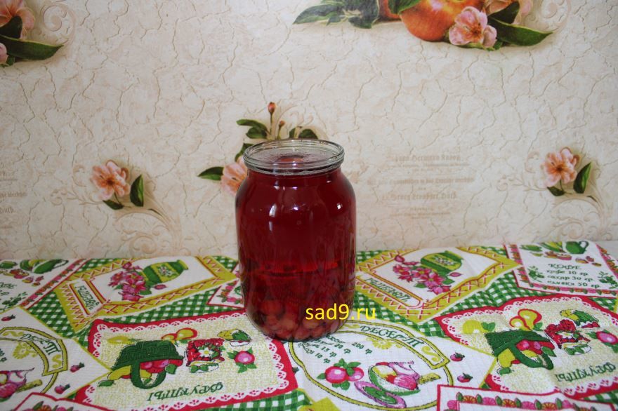 Компот и вишни рецепт с фото пошагово