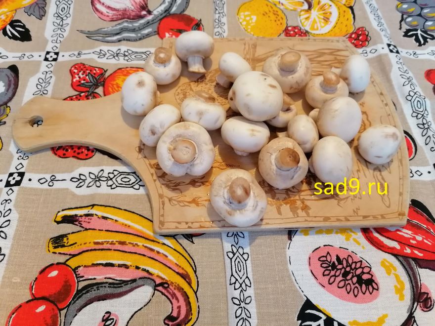 Курица с грибами и сыром, вкусный и простой рецепт