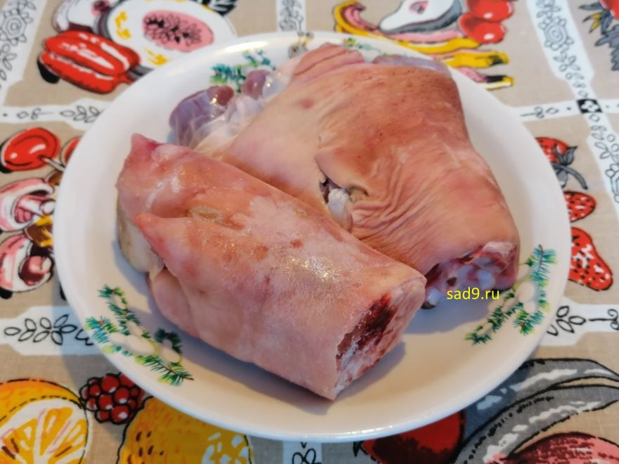 Холодец из свиных ножек, простой способ приготовления в домашних условиях