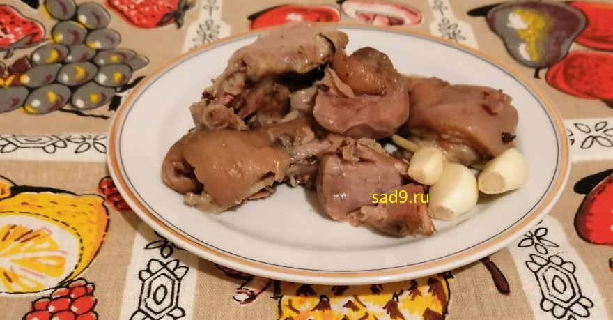 Холодец из свиных ножек вкусный и простой рецепт с фото пошагово