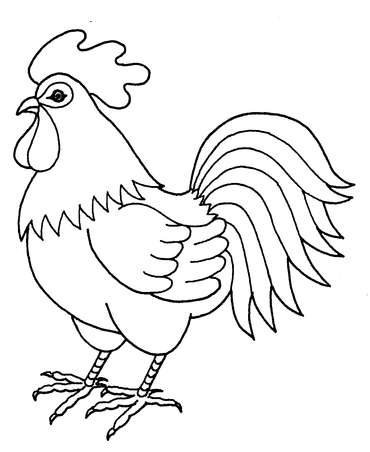 Раскраска домашние птицы - Петух