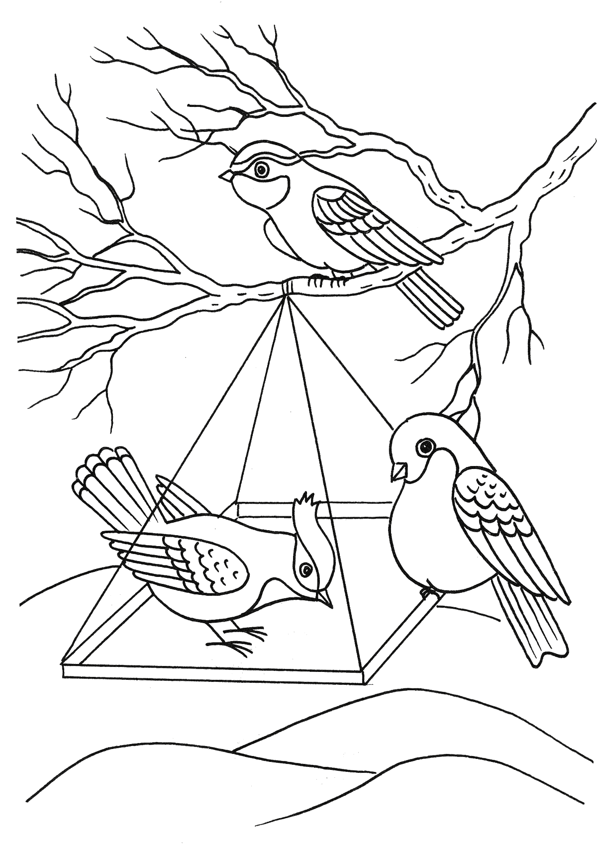 Раскраска кормушка для птиц