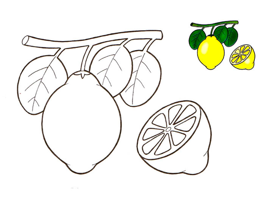 Фрукты раскраска для детей - лимон