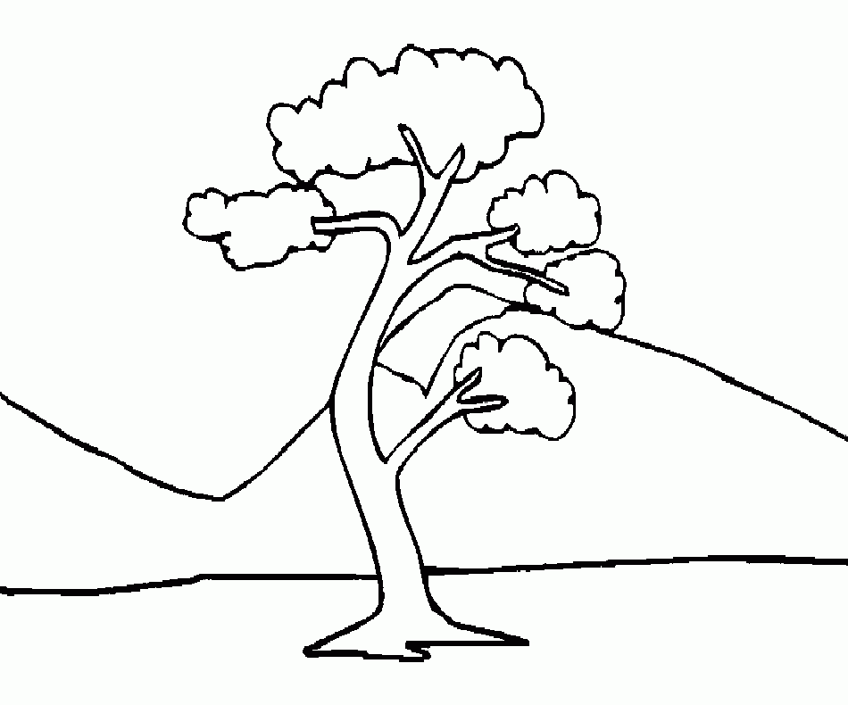 Раскраска дерево для детей, распечатать
