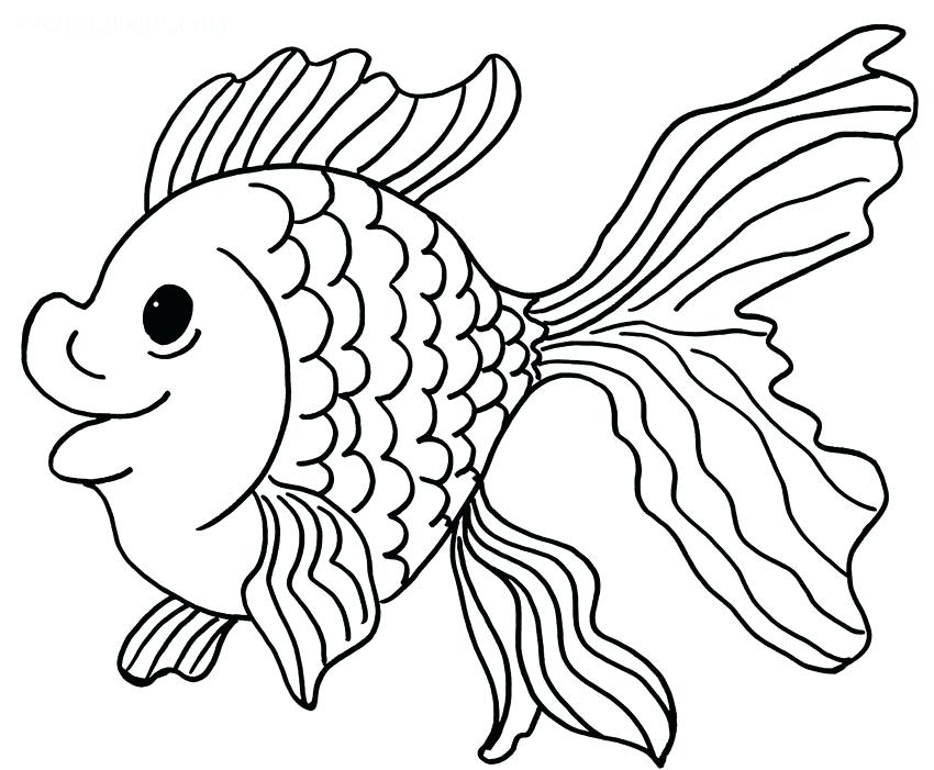 Картинки раскраска рыбка, для мальчиков и девочек