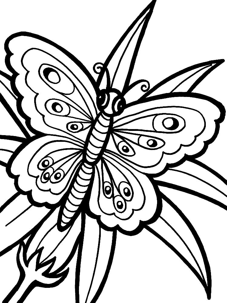 Раскраски бабочки для девочек и мальчиков