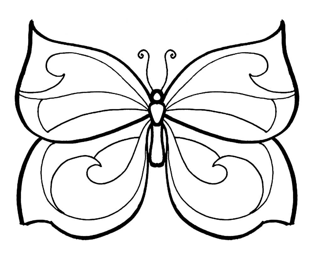 Раскраска бабочка, распечатать