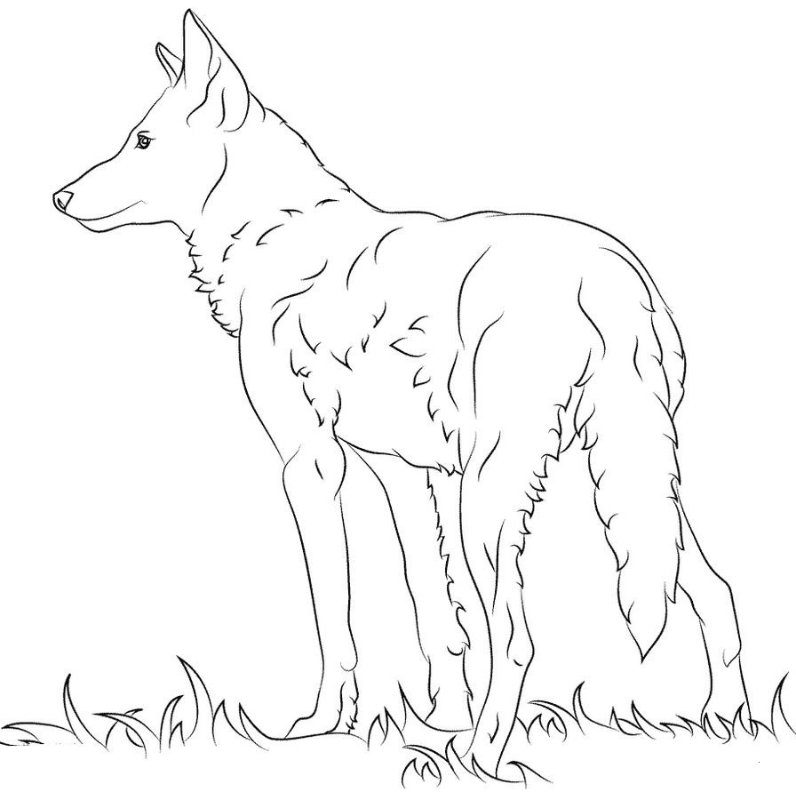 Распечатать раскраску - волк, онлайн бесплатно