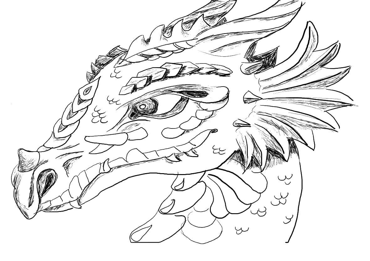 Раскраска голова дракона