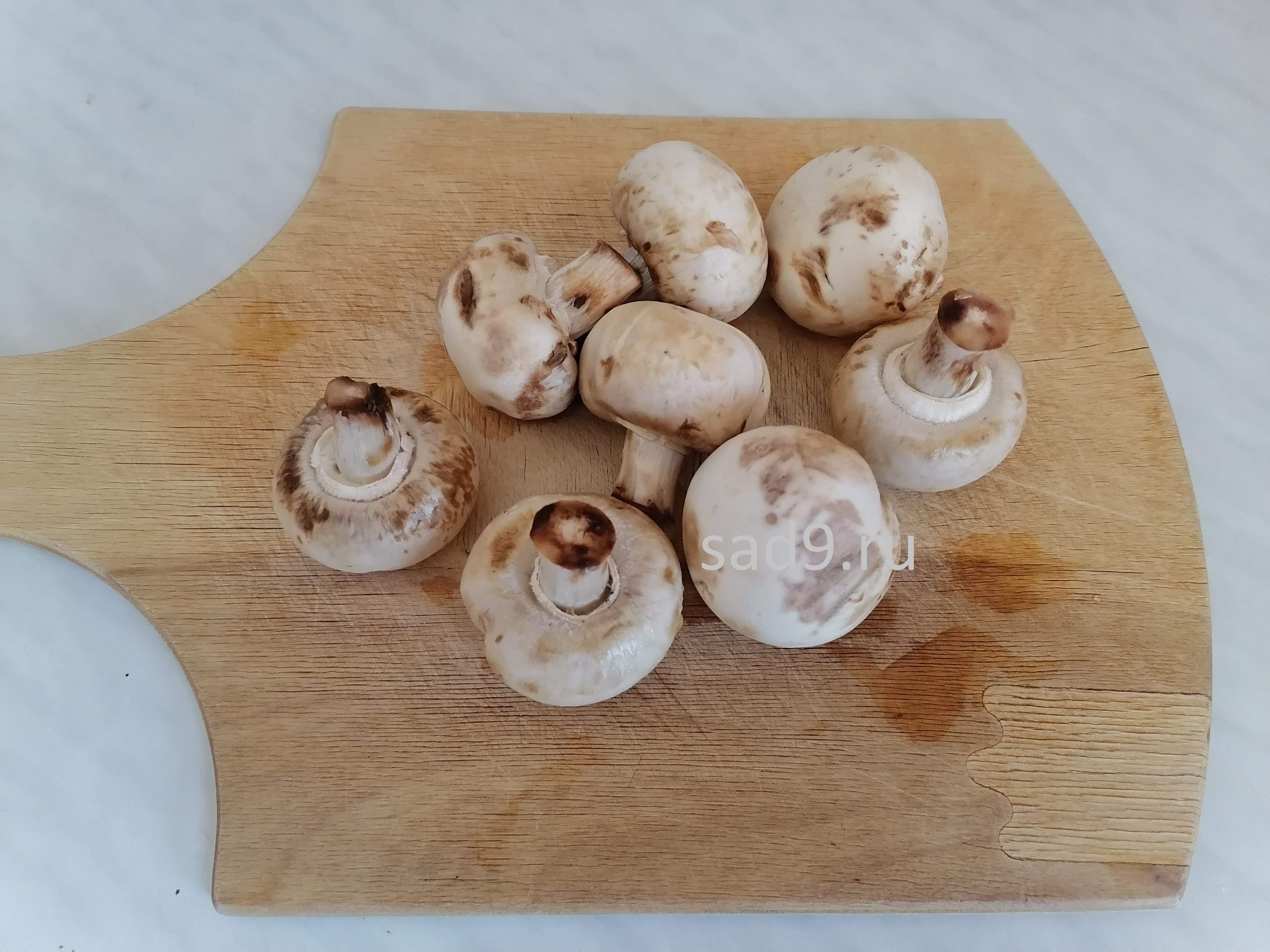 Вкусный и простой рецепт и способ приготовления картофеля с грибами